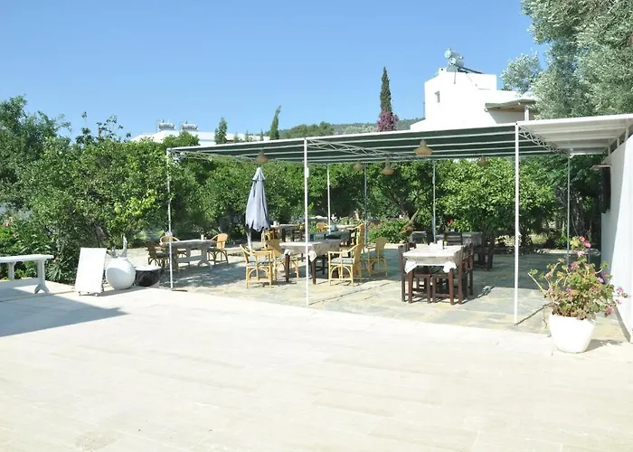 Blu 호텔 Bodrum